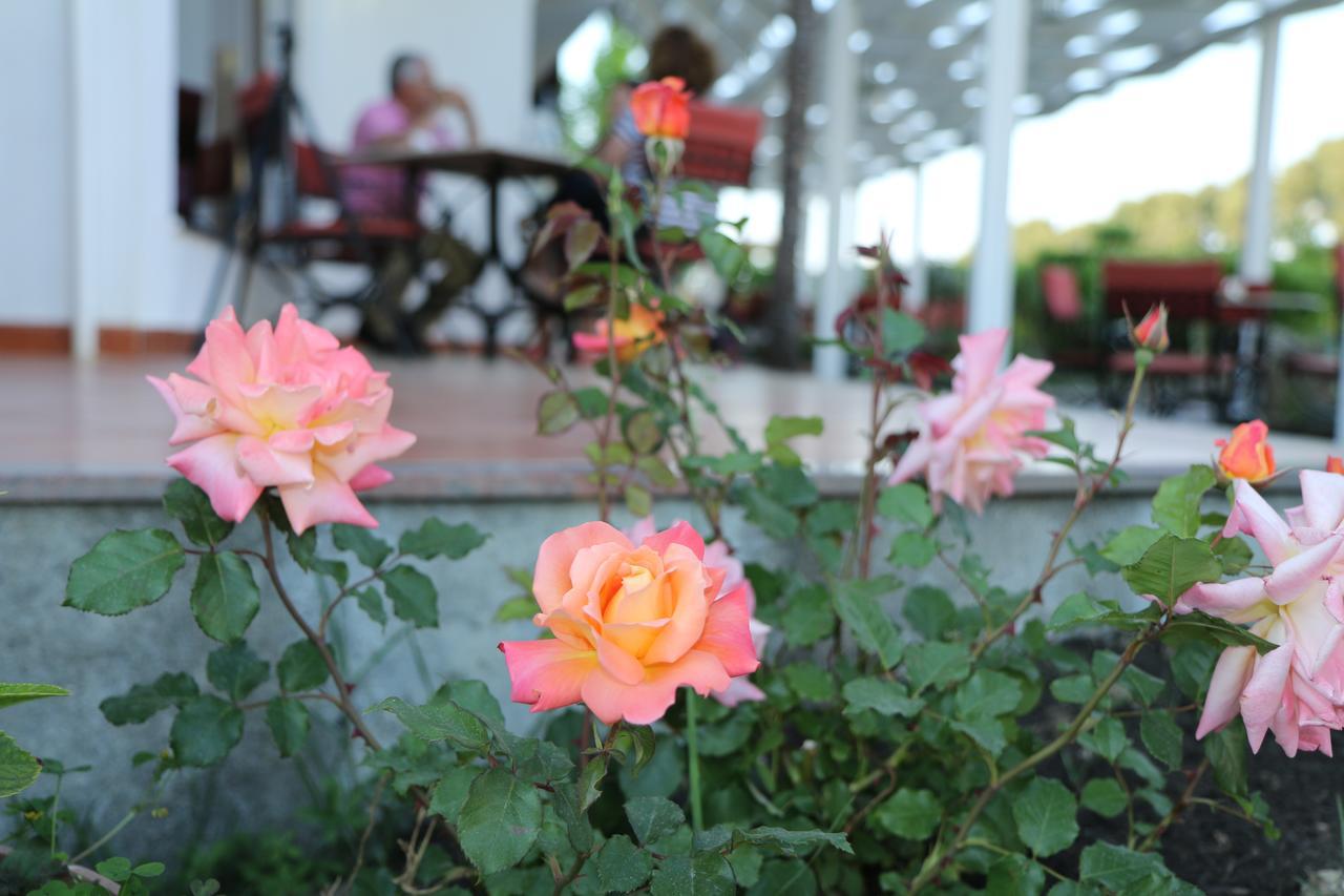 Hotel President โกเลม ภายนอก รูปภาพ